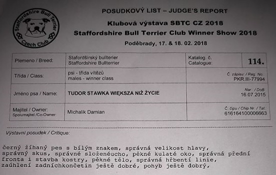 TUDOR Stawka Większa niż Życie