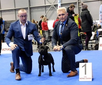 TOMMY GUN Stawka Większa niż Życie