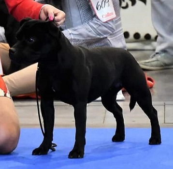 URSA Stawka Większa niż Życie