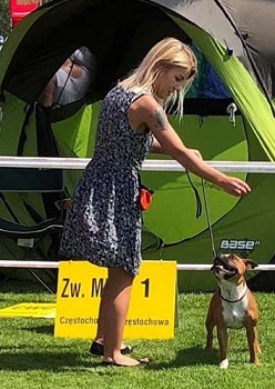 VEGA Stawka Większa niż Życie
