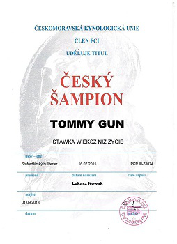 TOMMY GUN Stawka Większa niż Życie