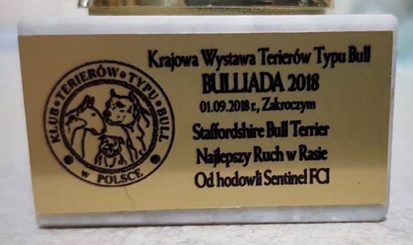 TUDOR Stawka Większa niż Życie