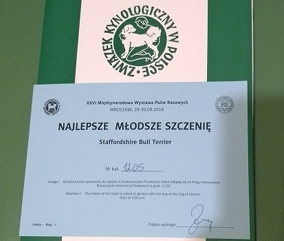 WHISKY Stawka Większa niż Życie