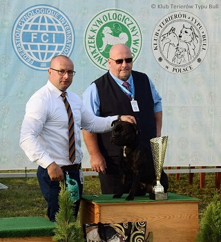 TOMMY GUN Stawka Większa niż Życie