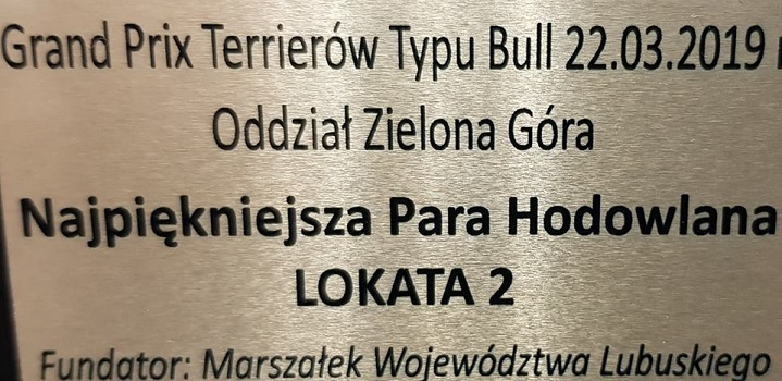  Stawka Większa niż Życie