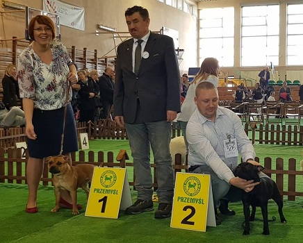 WENDY Stawka Większa niż Życie