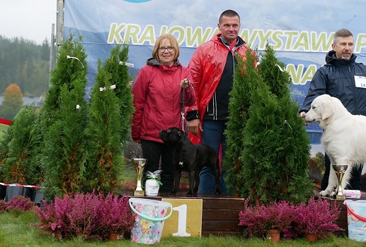 WHISKY Stawka Większa niż Życie