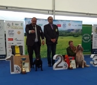 MAYA Stawka Większa niż Życie
