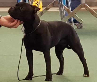 WENDY Stawka Większa niż Życie