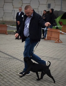 WENDY Stawka Większa niż Życie