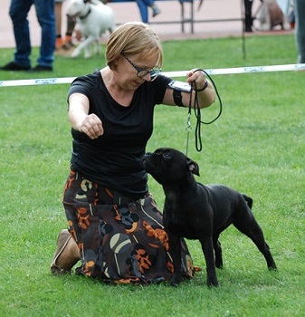 WENDY Stawka Większa niż Życie