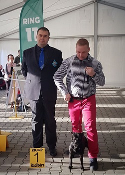 WENDY Stawka Większa niż Życie