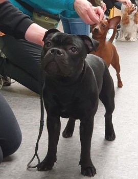 ARGUS Stawka Większa niż Życie
