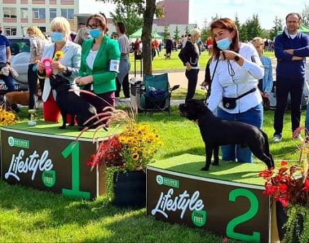 ARGUS Stawka Większa niż Życie