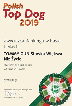 TOMMY GUN Stawka Większa niż Życie