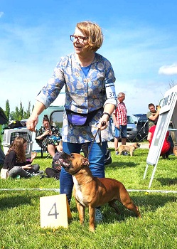 FORTUNA Stawka Większa niż Życie