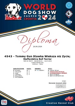 TOMMY GUN Stawka Większa niż Życie
