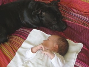 BETA Stawka Większa niż Życie, foto - Agnieszka Hybel