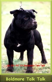 Boldmore Talk Talk